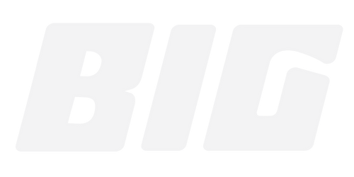 Big Investment Co.